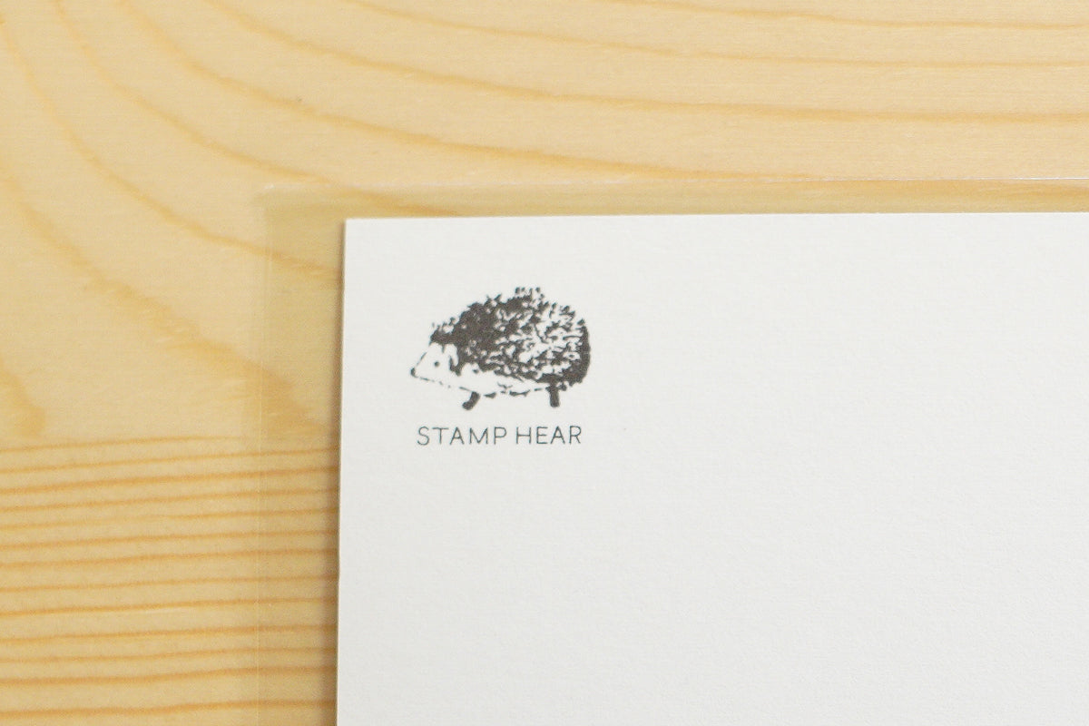 星野綾子 - color+life | ポストカード / となりで、ふたりで。みつめあう