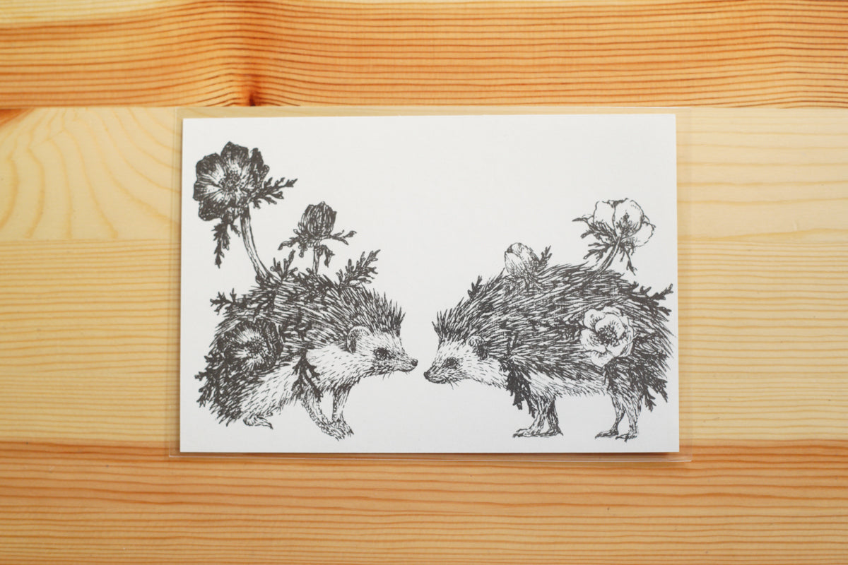 星野綾子 - color+life | ポストカード / となりで、ふたりで。みつめあう