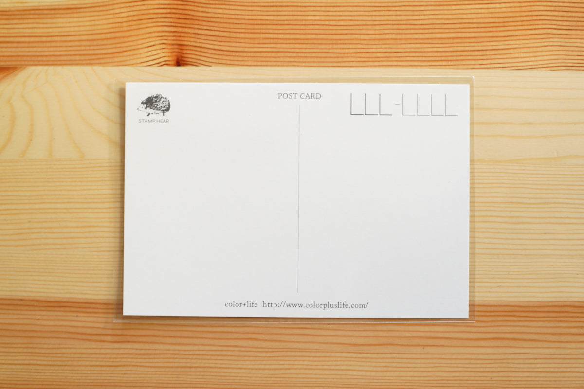 星野綾子 - color+life | ポストカード / となりで、ふたりで。みつめあう