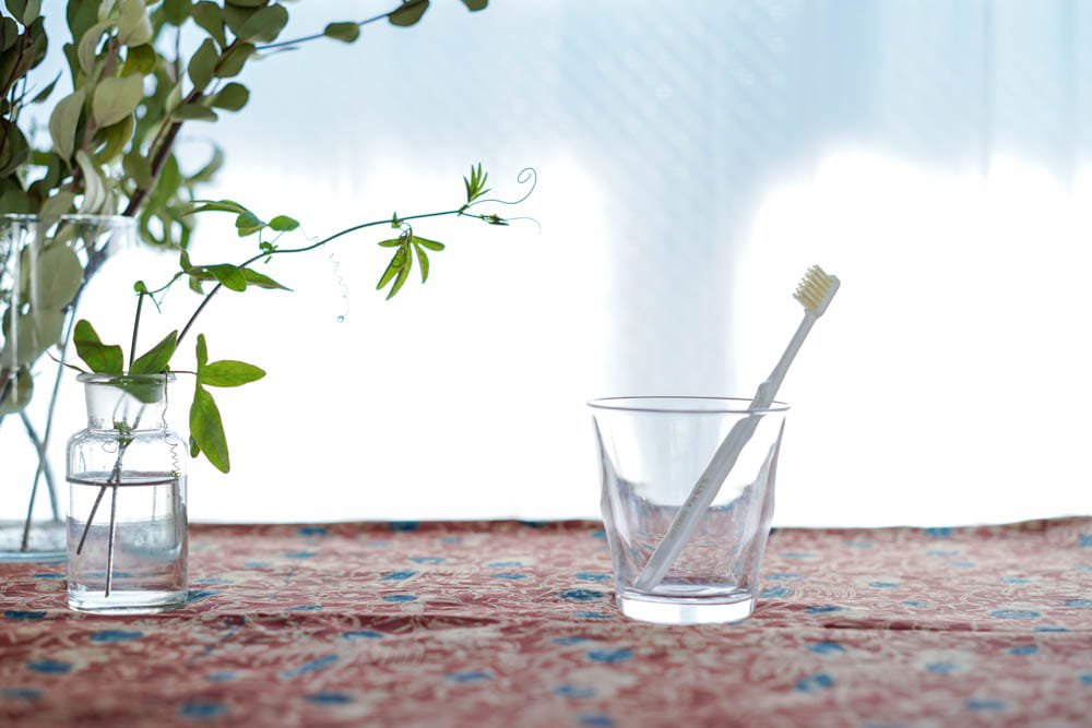 かなや刷子(ブラシ)  |  豚毛 歯ブラシ 小 - 1本