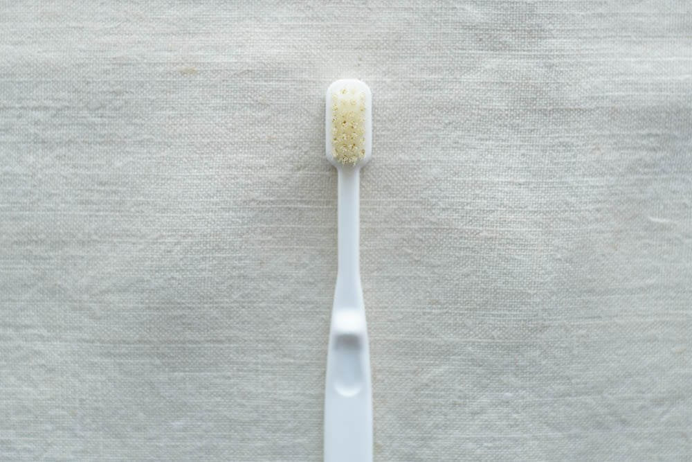 かなや刷子(ブラシ)  |  豚毛 歯ブラシ 小 - 1本