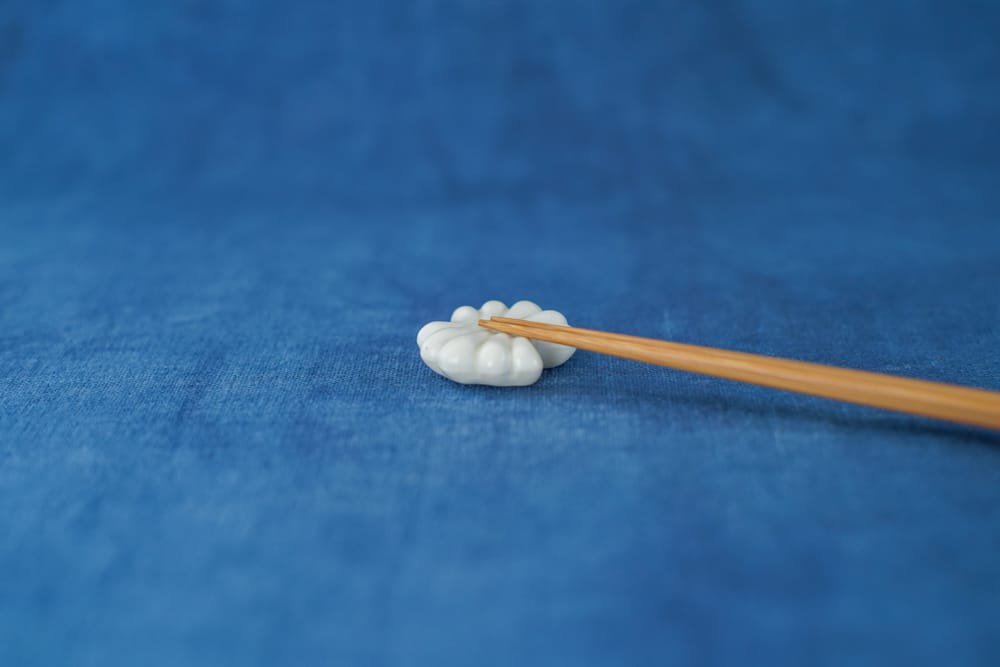 KANEAKI SAKAI POTTERY  |  hashimarkra shell