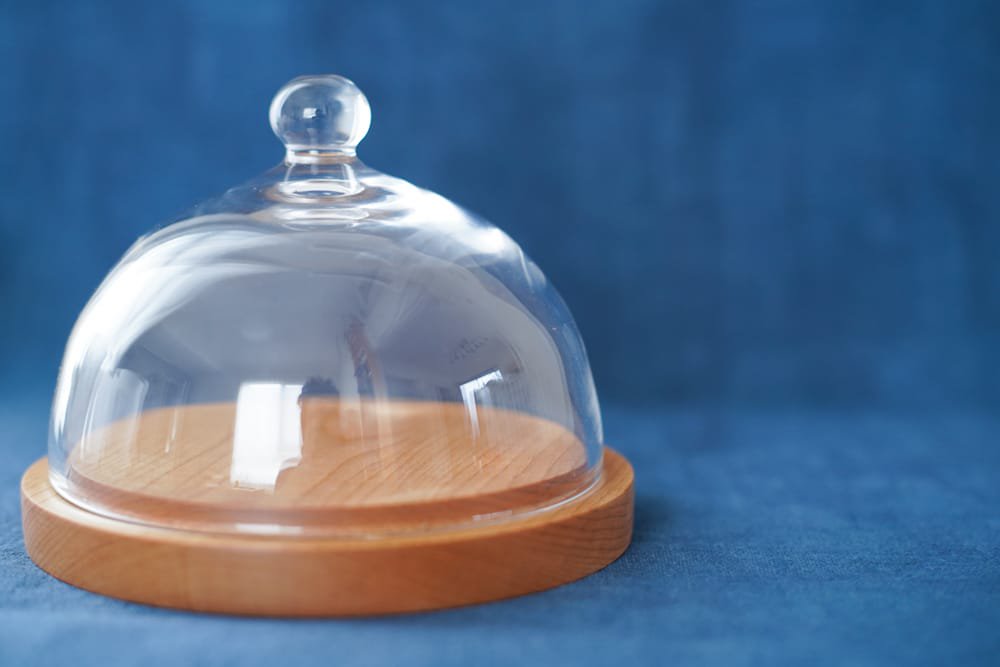 内田洋子  |  glass dome + wood plate