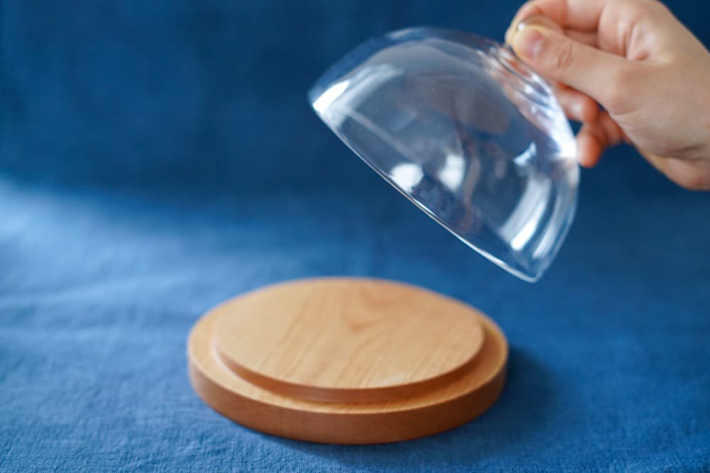 内田洋子  |  glass dome + wood plate