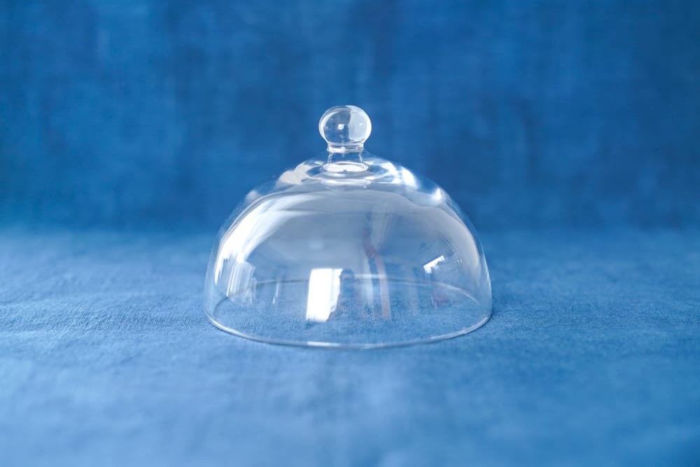 内田洋子  |  glass dome + wood plate