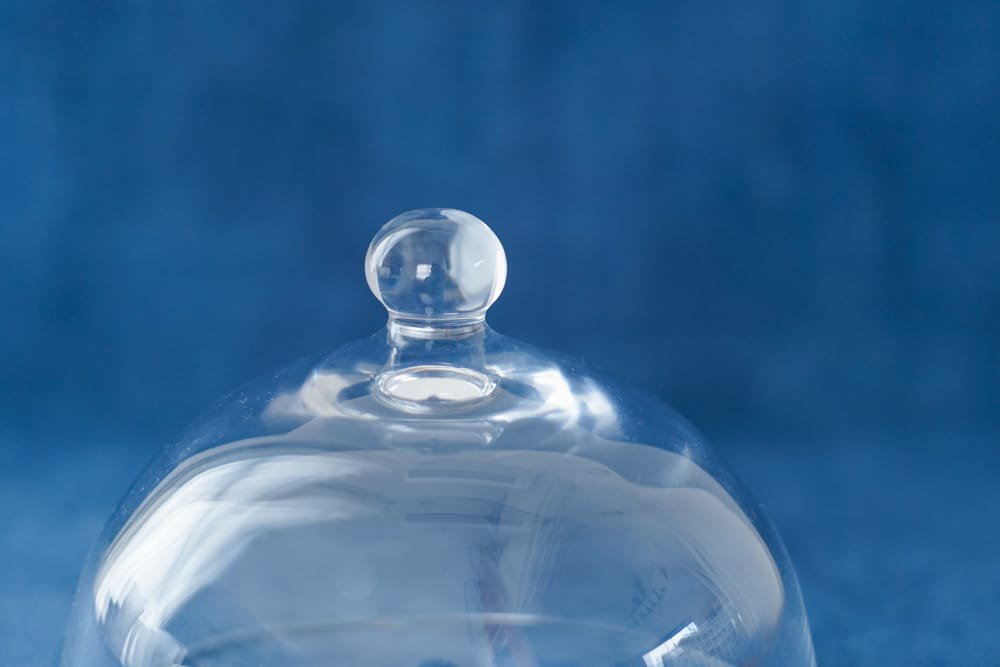内田洋子  |  glass dome + wood plate